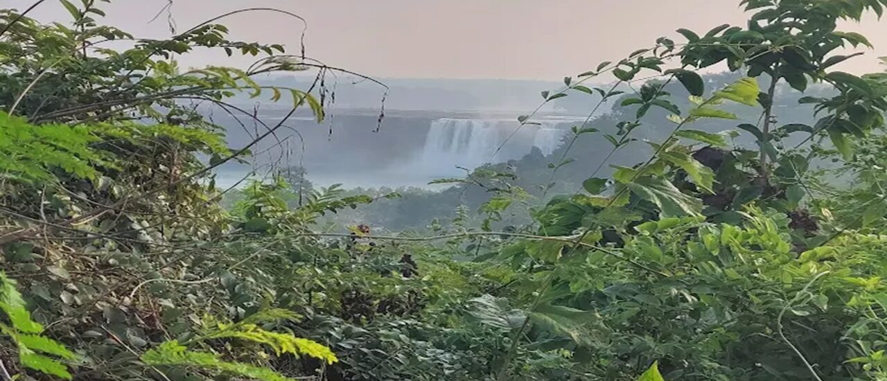 Dandami Luxury Resort surrounded by lush greenery in Chitrakoot