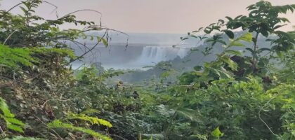 Dandami Luxury Resort surrounded by lush greenery in Chitrakoot