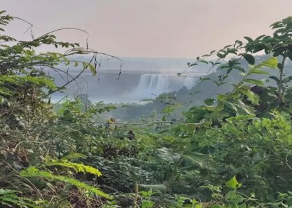 Dandami Luxury Resort surrounded by lush greenery in Chitrakoot
